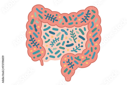 Gut microbiome concept. Intestine with probiotic bacteria. Human digestive system microbiota. Healthy gut flora. Vector illustration for medicine, microbiology, science, anatomy.