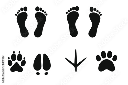 Black silhouette footprints collection. Vector icon set of human bare feet and animal tracks like dog, wolf, cat, deer, and bird. Concept for wildlife, hunting, hiking trail.