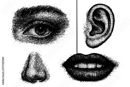 Retro photocopy effect face parts collection. Female eye, mouth, nose, ear with grunge punk texture. Vector set for zine culture, poster, print. Y2k aesthetic illustration.