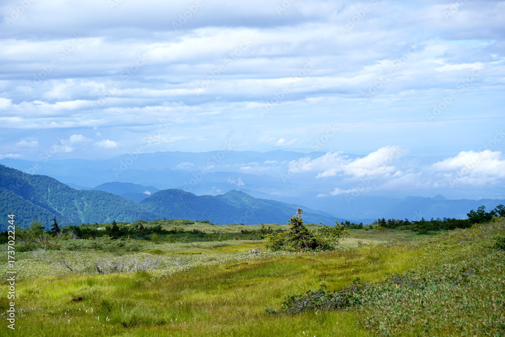 Fototapeta premium 広大な高原に広がる緑の草原と遠景に連なる青い山々を背景に夏空の入道雲が浮かぶ雄大な自然のパノラマ風景です