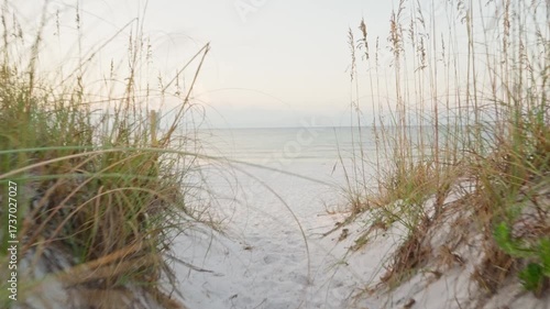 Scenic Coastal Pathway Leading to Beachfront
