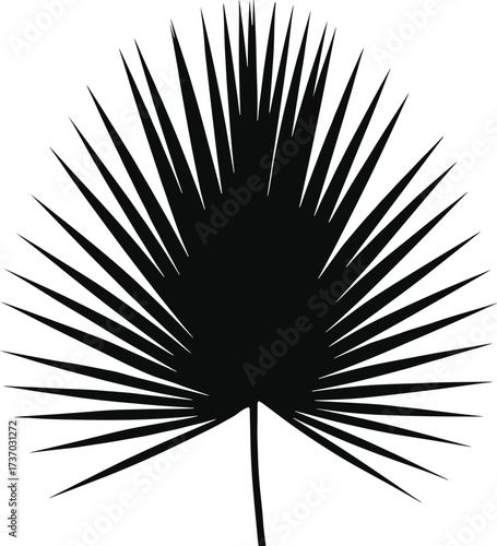black silhouette tropical palm leaf isolated illustration design vector graphic botanical nature plant foliage shape abstract pattern decorative artwork