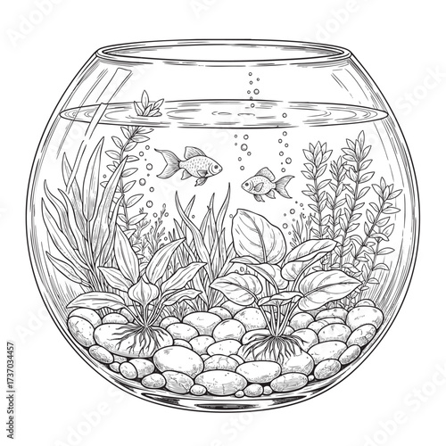 Detailed line art illustration of a round glass fishbowl with two goldfish aquatic plants and pebbles.