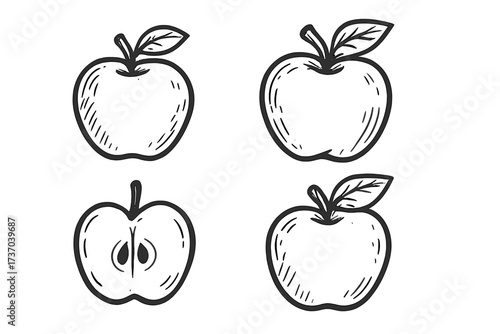 Hand drawn apple icon set. Vector cartoon doodle illustration of fresh organic fruit. Black and white outline sketch of whole and half cut apples. Healthy food graphic element.
