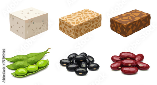 Vector art of collection of soy products and beans