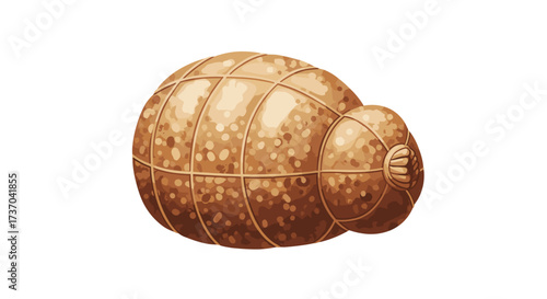 Vector art of a whole salami sausage tied with string