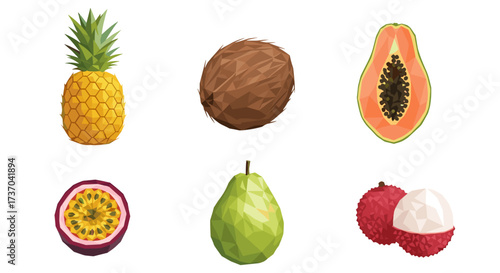 Vector art of a collection of six tropical fruits including pineapple, coconut, papaya, passion fruit, guava, and lychee