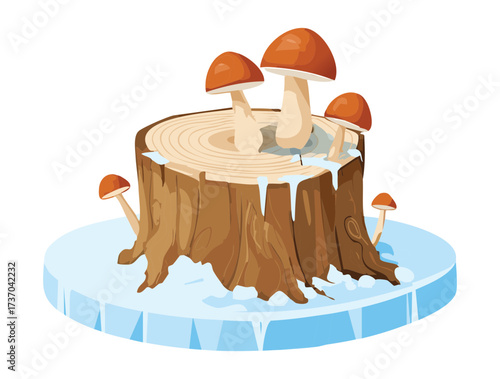 Large Round Tree Stump Covered in Snow with Brown Fungi Clustered at the Base in a Winter Scene	