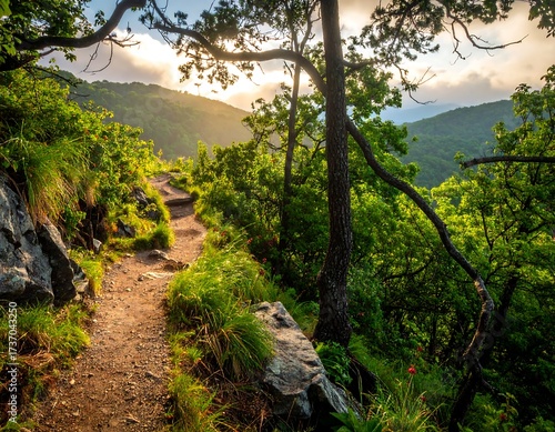 Sunrise mountain path