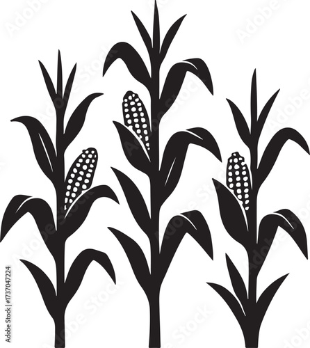 Cornfield Silhouette: A striking, graphic silhouette of a cornfield, evoking the simplicity and bounty of agricultural land.