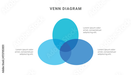 Venn diagram infographic template with 3 circles