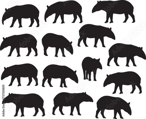 Silhouette Tapirs: A graphic representation of multiple tapir silhouettes showcases the unique form of these animals in a creative and eye-catching arrangement.