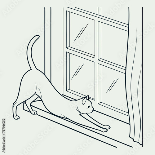 Vector art of cat stretching near the window