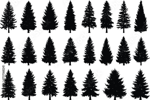 Pine tree silhouette vector set, evergreen forest illustration, Christmas tree design, nature woodland element, black spruce, fir, cedar, conifer tree collection