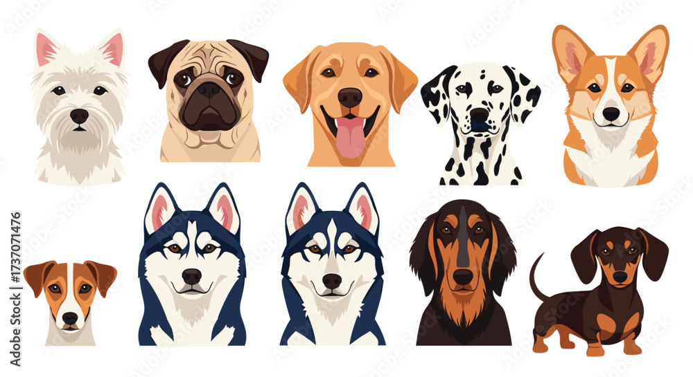 Obraz premium A delightful collection of diverse dog breeds showcasing various facial features and colors.