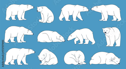 Collection of diverse polar bear poses and actions in a simple white illustration on a blue background.