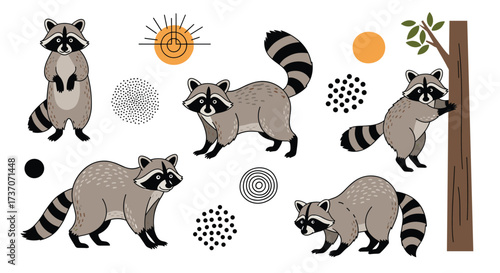 A collection of cute raccoons in various poses with abstract natural elements.