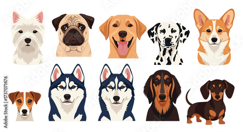 A delightful collection of diverse dog breeds showcasing various facial features and colors.