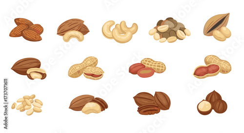 A vibrant collection of assorted healthy nuts showcasing their natural textures and rich colors.