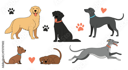 A collection of diverse dogs showcasing different breeds and poses for pet enthusiasts.