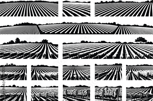 Vineyard field silhouette vector, agriculture farmland illustration, wine yard plantation, farming land design, rural landscape, grape field rows, countryside farm