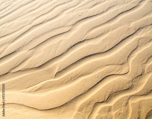 Fototapeta Naklejka Na Ścianę i Meble -  Close-up of patterned sand dunes