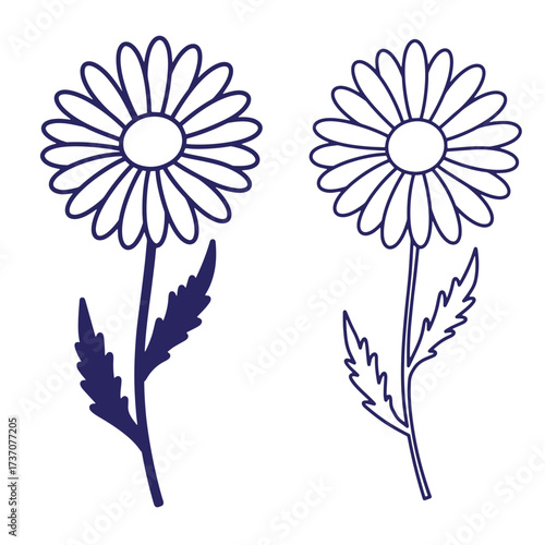 Two beautiful daisy flowers with stems and leaves outlined in dark blue against white background.