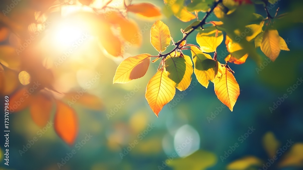 Obraz premium A close-up shot of vibrant yellow leaves on a tree branch against a backdrop of blurred foliage and the sun shining through the branches.