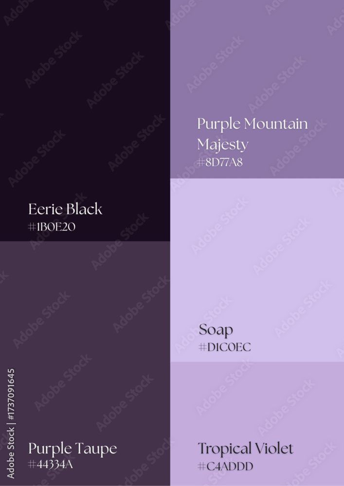 Fototapeta premium Professional palette ideas inspiring impactful keynote presentations, corporate branding, and government communication materials everywhere.