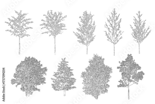 front View Vector Icons of Trees and Plants for Floor Plan and Architectural Design Projects