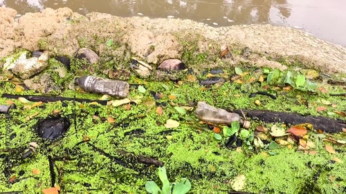 Garbage and  Weeds in the river, Chiangmai Thailand.