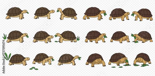 A collection of cartoon tortoises in various poses, some eating green leaves, on a transparent background, perfect for animation or design.
