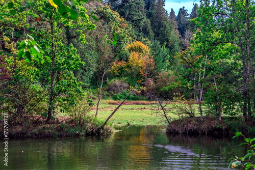  Elgin Heritage Park. Nature Park With creek and forest in autumn time green and yellow trees at the shore. In White Rock City British Columbia