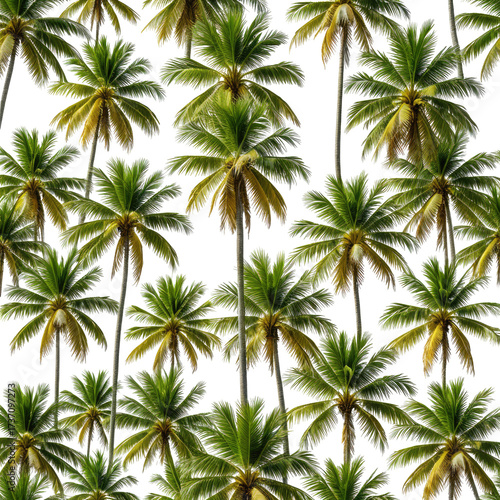 Tropical Palm Trees against a dark backdrop, a dense seamless pattern