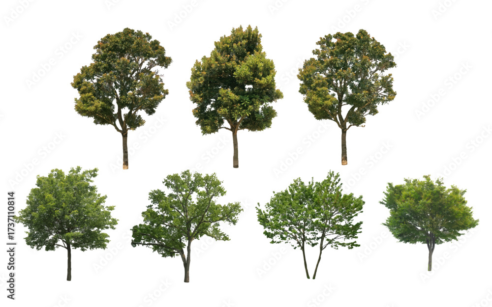 Fototapeta premium front View Vector Icons of Trees and Plants for Floor Plan and Architectural Design Projects, Landscape Design
