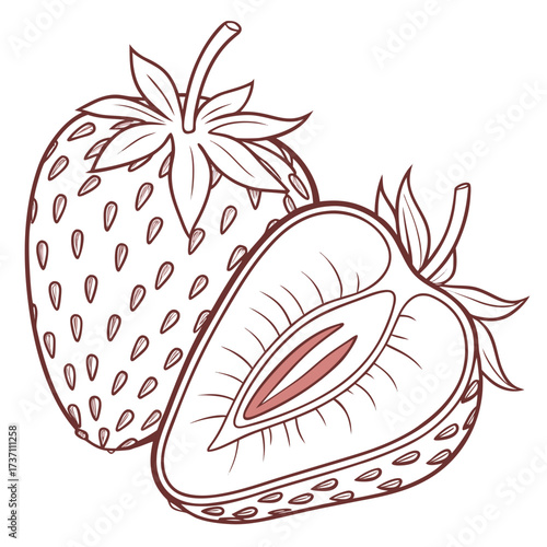 Stylized illustration of a whole strawberry and a halved strawberry with detailed seeds and leaves in outline style