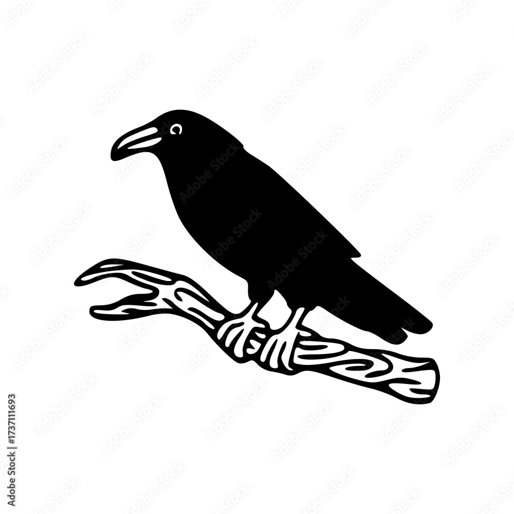 Fototapeta premium black raven perched on a branch