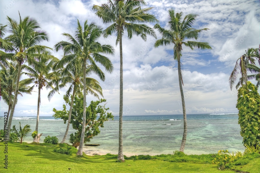 Fototapeta premium Vacation Beach Background