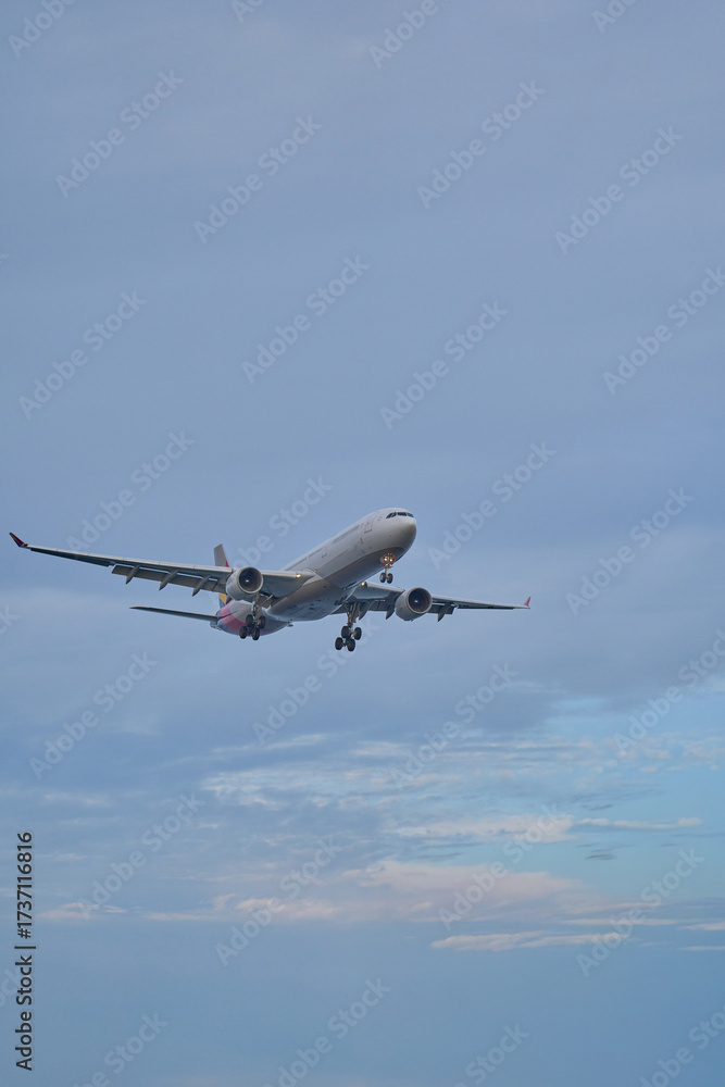 Fototapeta premium 비행기