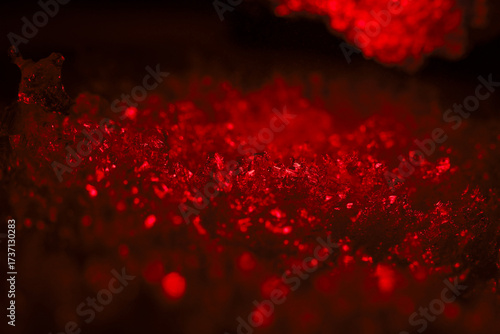 Εκτύπωση καμβά Mysterious red glowing abstract micrograph showing fluorescence microscopy of cell