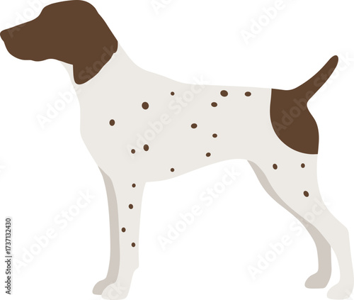 Minimalist Flat German Shorthaired Pointer Stance Breed Illustration Animal