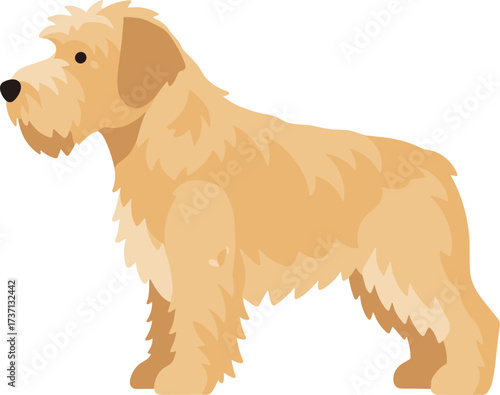 Simple Flat Design Wheaten Terrier Breed Domestic Pet Illustration