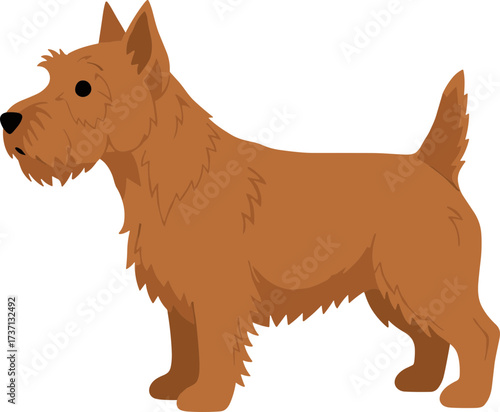 Flat Graphic Terrier Dog Brown Breed Illustration Pet Animal