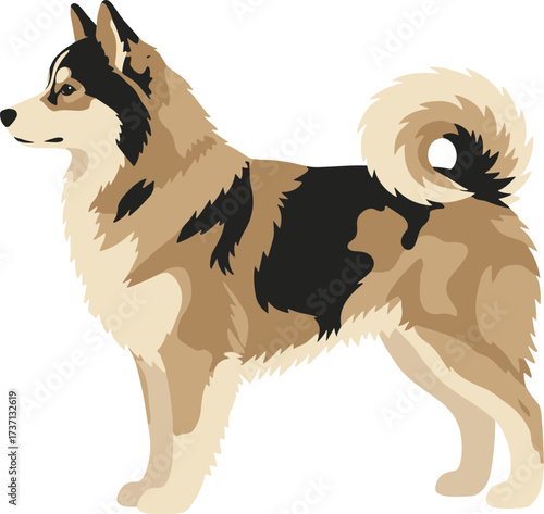 Flat Decorative Siberian Husky Breed Illustration Isolated in White Background