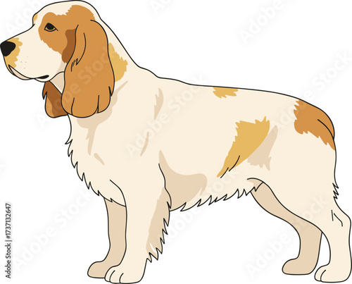 Detailed Outline Illustration of Elegant Cocker Spaniel Breed Animal Icon