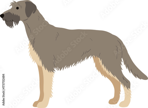 Simple Flat Illustration of Irish Wolfhound Dog Standing Sideways Profile View