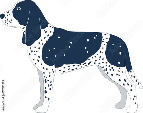 Minimalist Detailed Illustration of a Spotted Pointer Dog Standing Sideways
