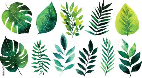 Green leaves big vector collection - Set of graphical elements with various leaf designs in  Collection of green leaves of tropical plants bush