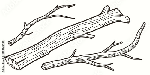 Collection of various size tree branches