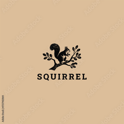 Squirrel logo vector icon template design